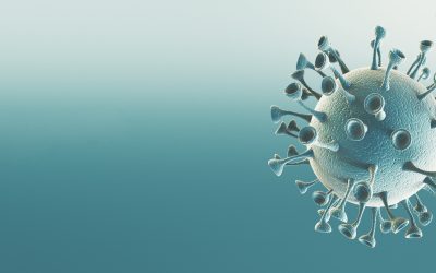 Unterstützungs-maß­nah­men im Bereich der Entrichtung  von Abgaben