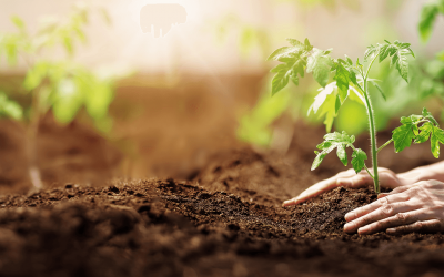 Online-Sendung“B2B” – BEST PRACTICE Förderungen & Finanzierungen der SFG