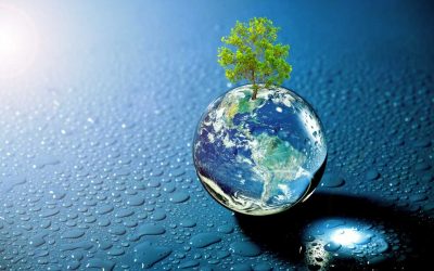 Aktivitäten im Bereich Nachhaltigkeit 2022