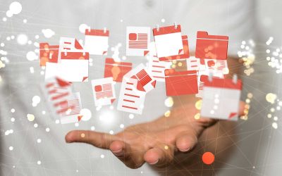 Verpflichtende jähr­li­che Meldung Wirtschaftliche Eigentümer