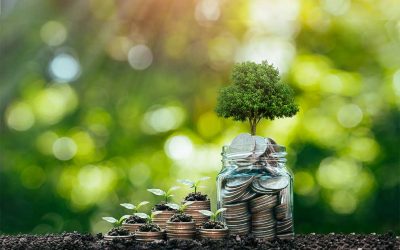 Jährlich bis zu € 900 THG-Quote in Österreich für Ihr Elektroauto!