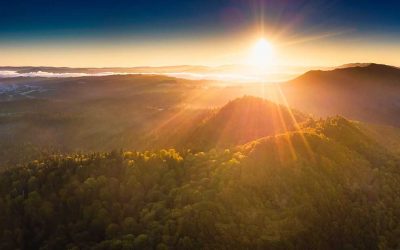 Die Flexible Kapitalgesellschaft — Eine neue Rechtsform entsteht